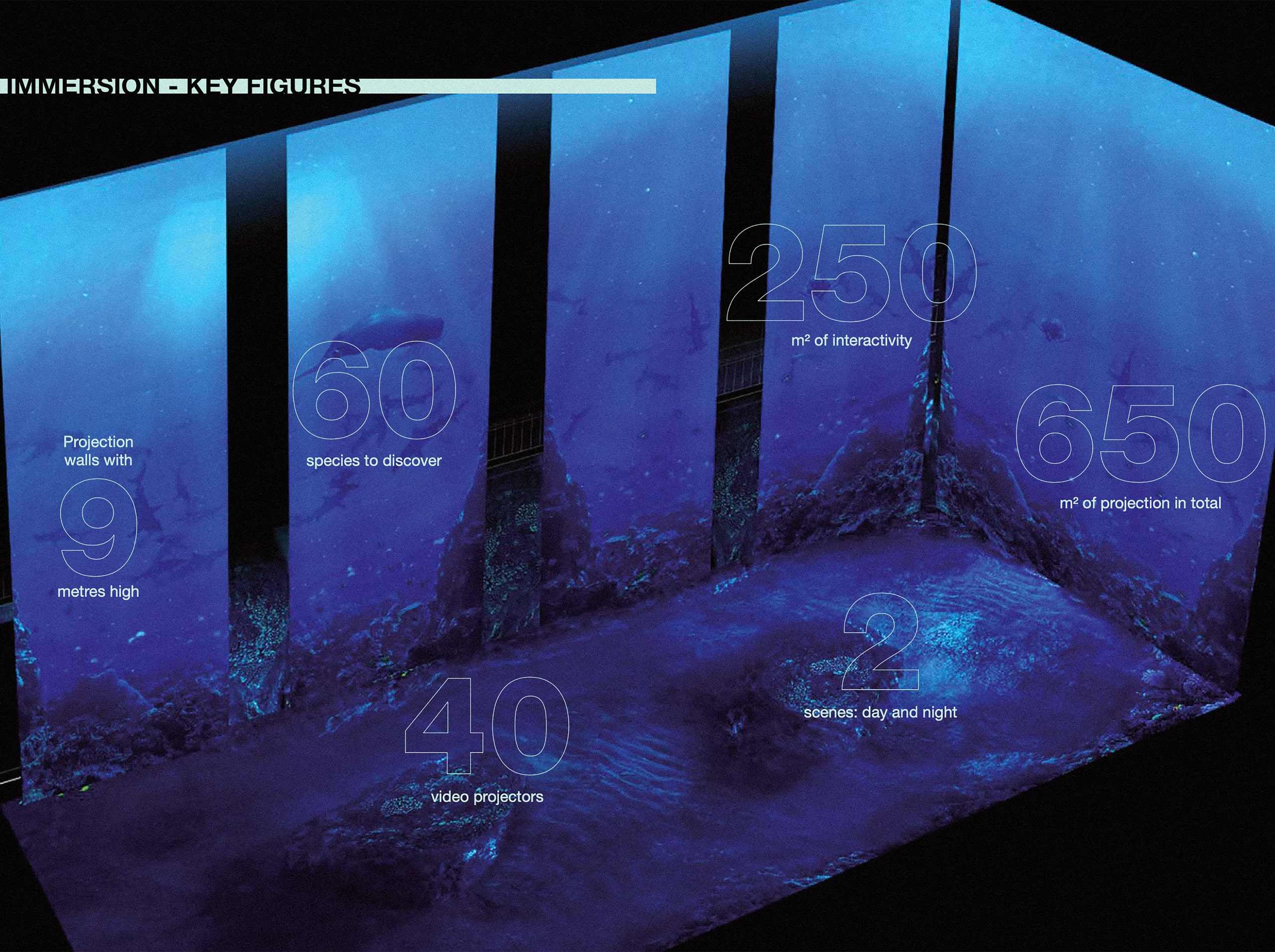 aquarium.jpg