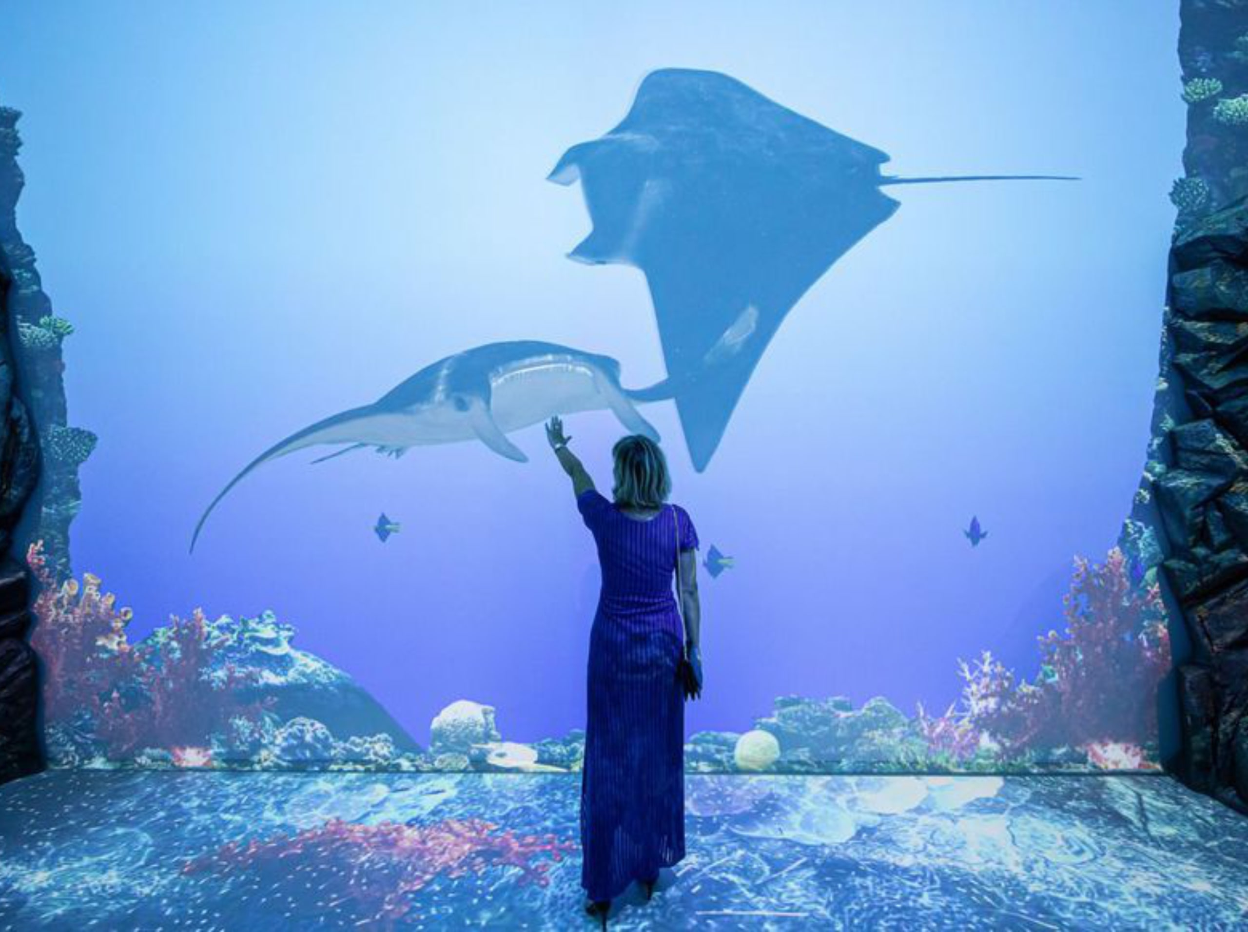 musee-oceanographique-immersion.jpg